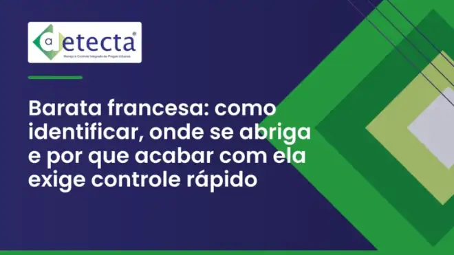Capa do artigo sobre barata francesa.