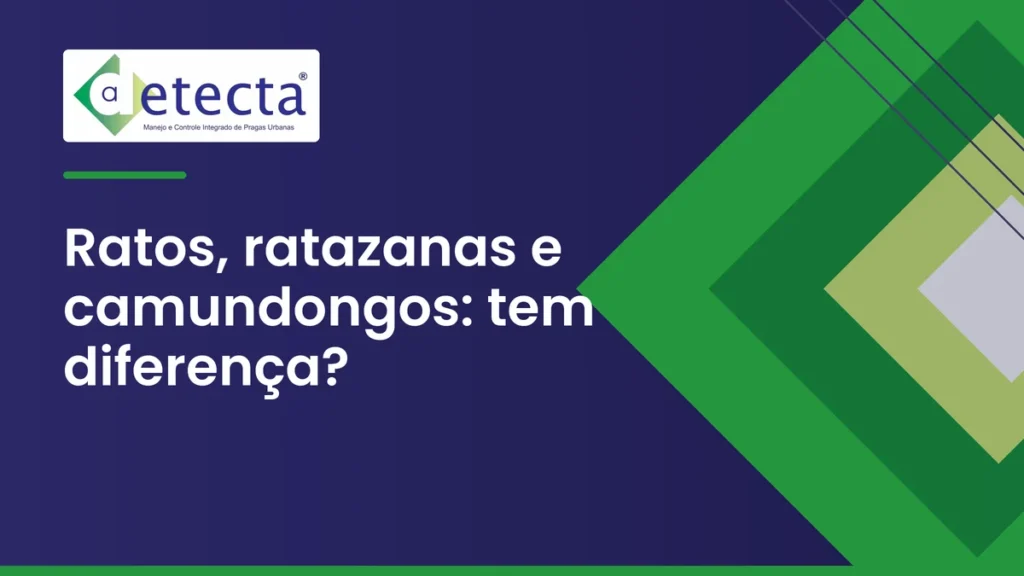 Capa do artigo sobre ratos, ratazanas e camundongos.