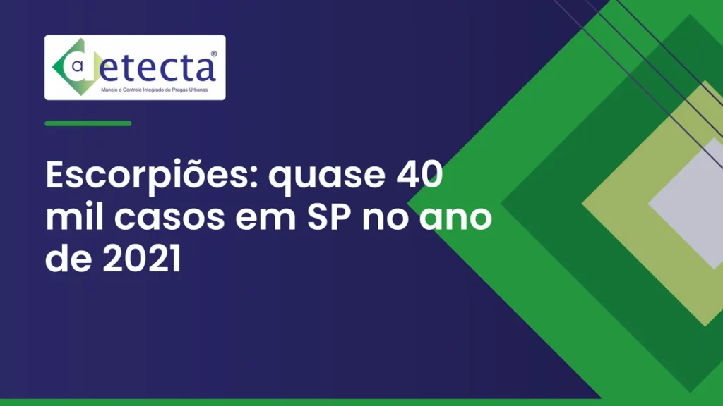 Capa do artigo sobre escorpiões: quase 40 mil casos em SP no ano de 2021.