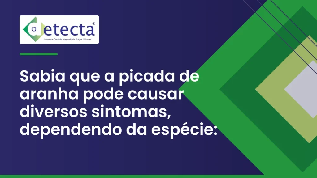 Capa do artigo sobre sabia que a picada de aranha pode causar diversos sintomas, dependendo.