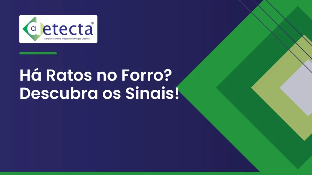 Capa do artigo sobre há Ratos no Forro? Descubra os Sinais.