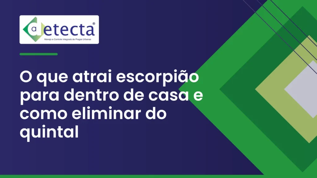 Capa do artigo sobre o que atrai escorpião para dentro de casa e como eliminar do quintal.