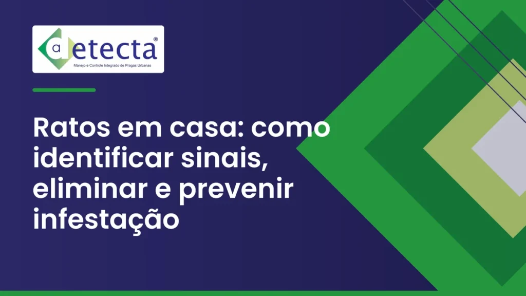 Capa do artigo sobre ratos em casa.