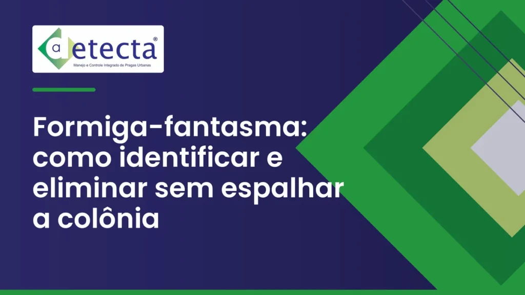 Capa do artigo sobre formiga-fantasma.